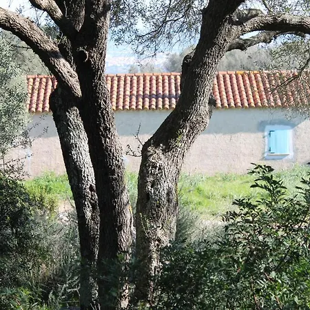 Stazzo Gallurese Vista Mare * 奧爾比亞